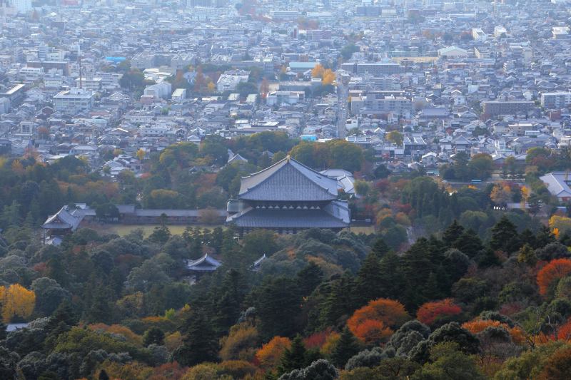 若草山_5.jpg