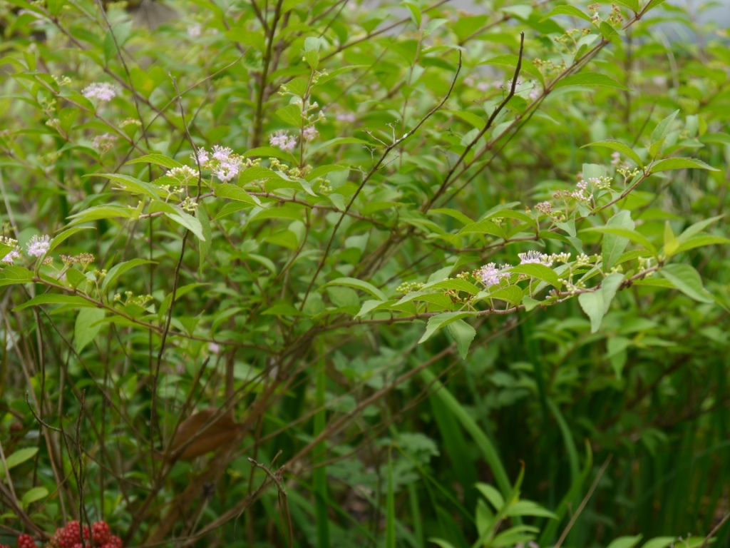 P1080169.JPG