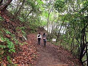 IMG_2462.jpg