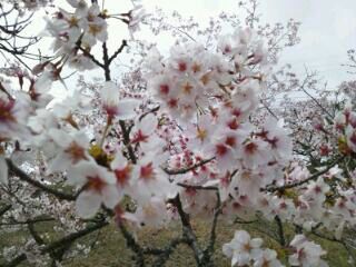 rblog-20140402120005-01.jpg