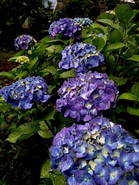 120609_130411.jpg