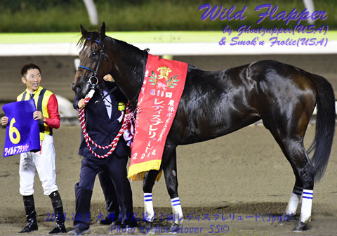 06WildFlapper100214tck11R_01