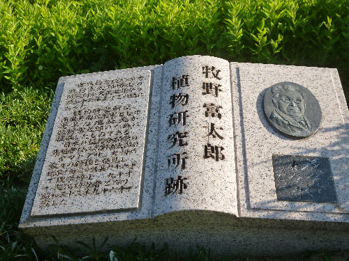 P1120952(1).JPG