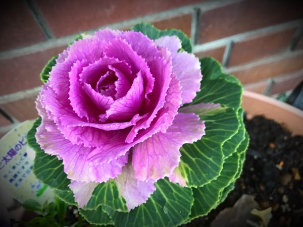 rblog-20161128164756-04.jpg