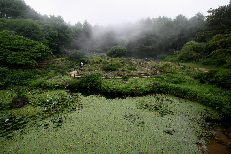 六甲山高山植物園_05.jpg