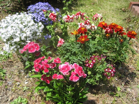 130504-25b.jpg