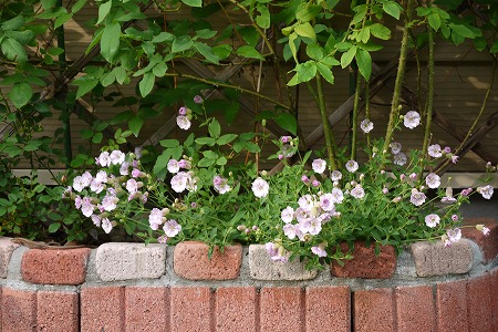 P1000849.jpg