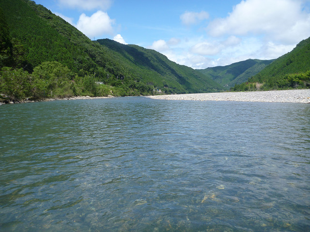 resize2595.jpg