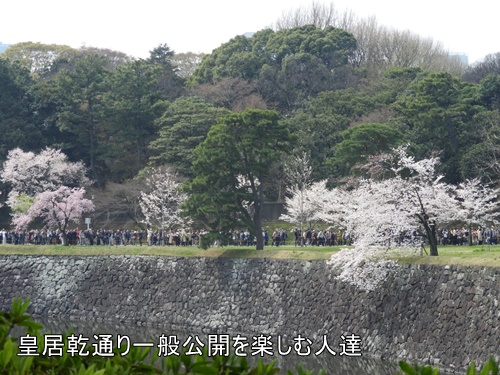 皇居乾通り一般公開