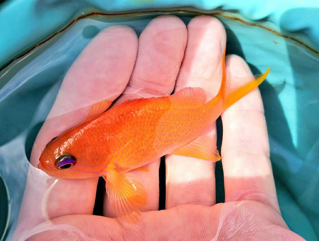 5ページ目の記事一覧 魚と日常ブログ 楽天ブログ