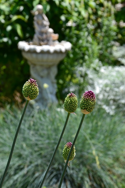 DSC_0078.JPG