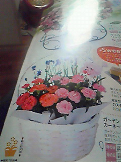 201205131404000.jpg
