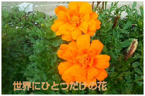 rblog-20160701063135-00.jpg