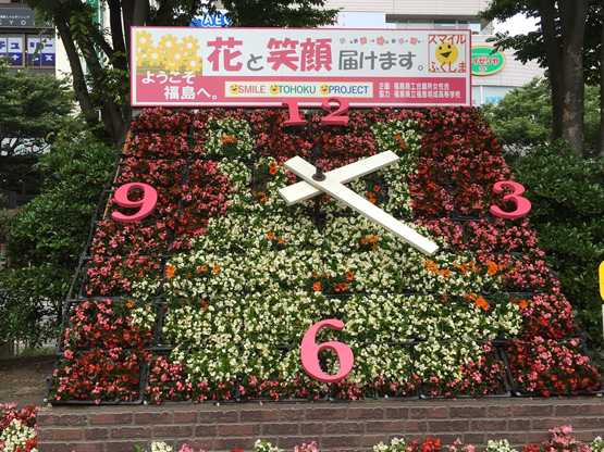 h11.jpg