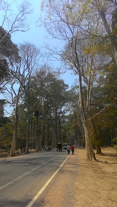 P_20160414_132913 - コピー.jpg