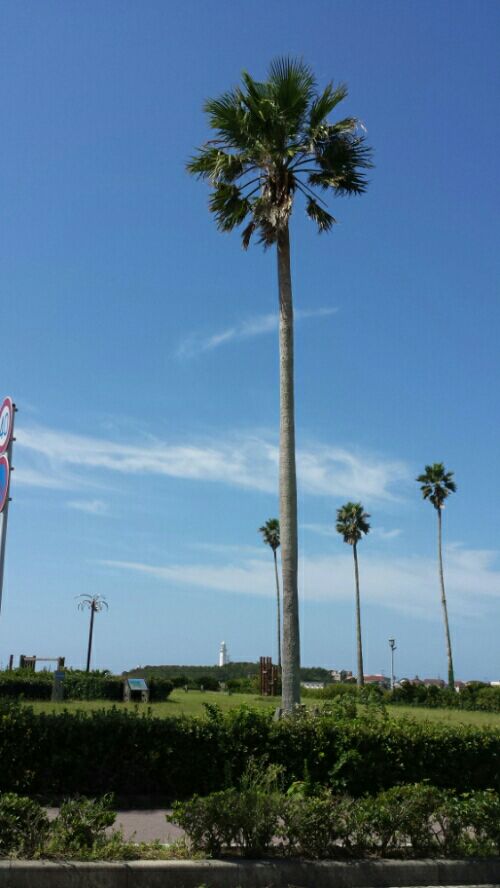 rblog-20160903093810-01.jpg