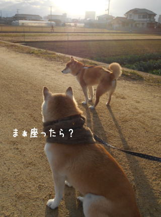 0101トラちゃん.jpg