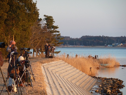 2015.3.4 涸沼・偕楽園 006.JPG