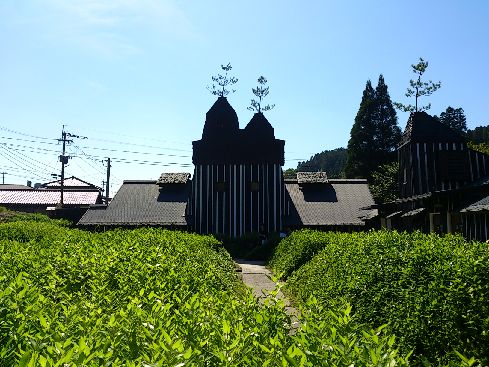 DSC_0405.jpg