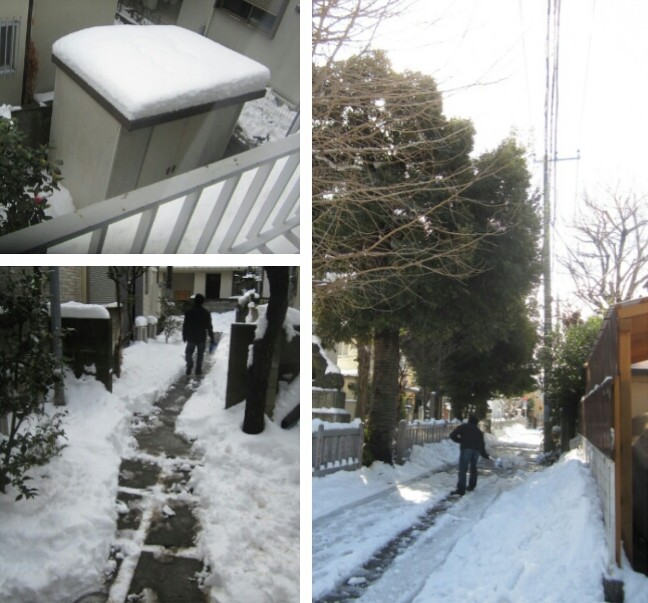 2014.02.09 雪かき1.jpg