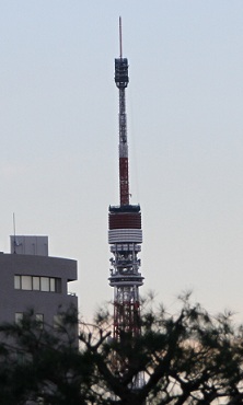 E7D_7170-2.jpg