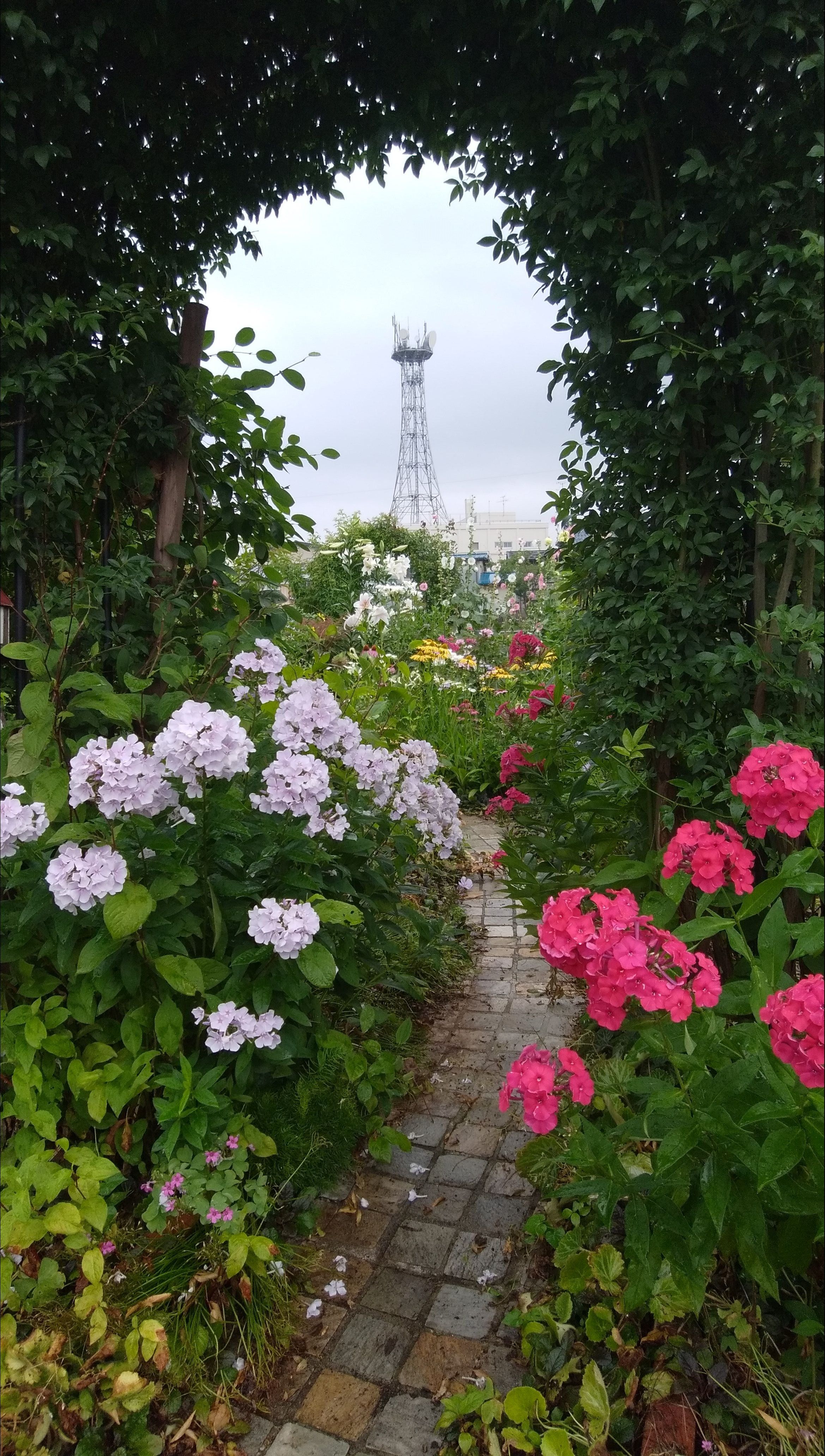 電波塔 わか葉の庭 楽天ブログ