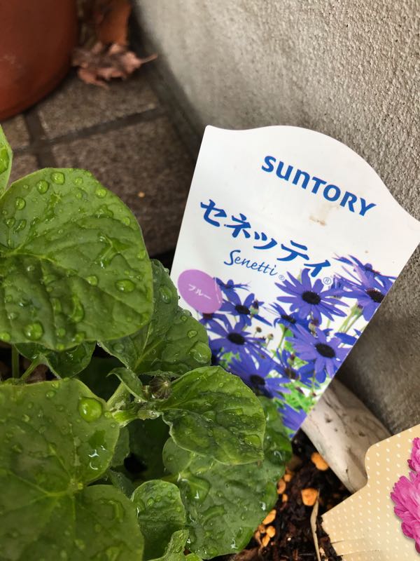 rblog-20190401164627-05.jpg