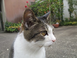 IMG_3462ss.jpg
