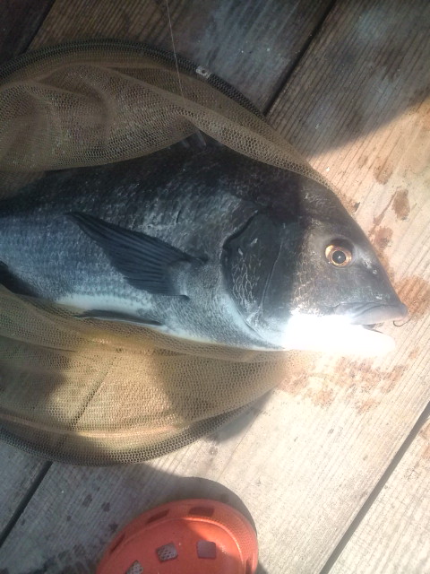 20120728134630.jpg