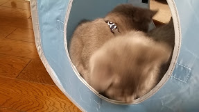 20150120_220222.jpg
