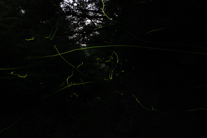 2014_0602_195144-IMG_5048.JPG