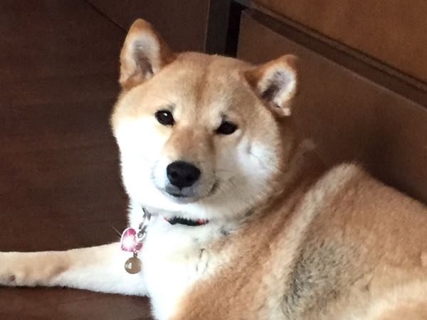 rblog-20160507162538-01.jpg