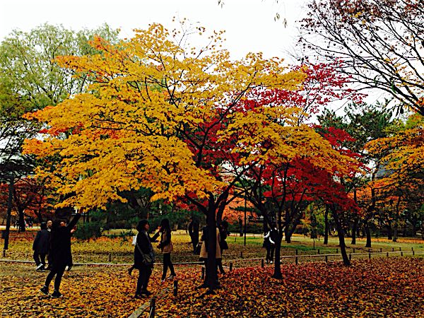 rblog-20151116205058-01.jpg
