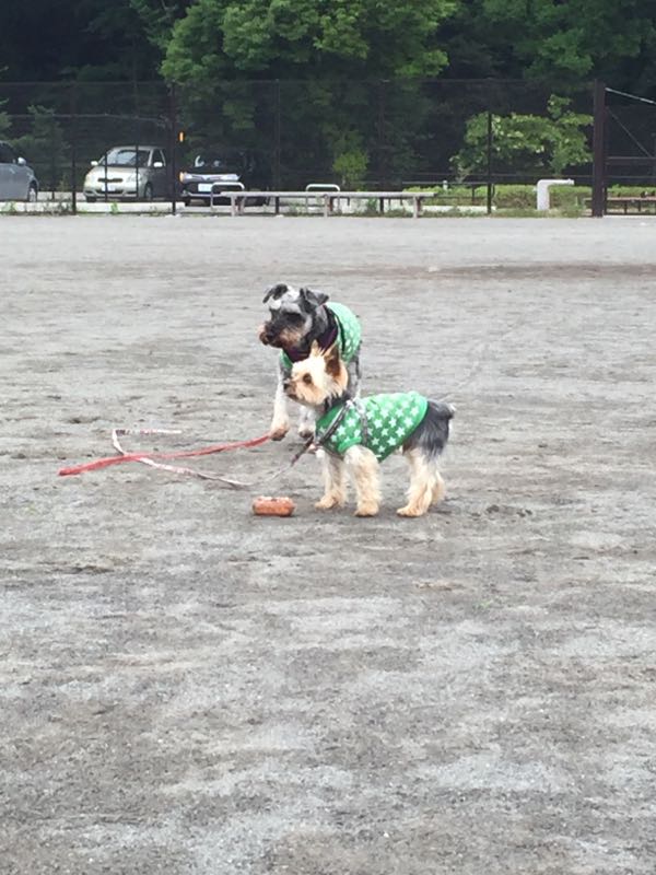 rblog-20160608004247-03.jpg