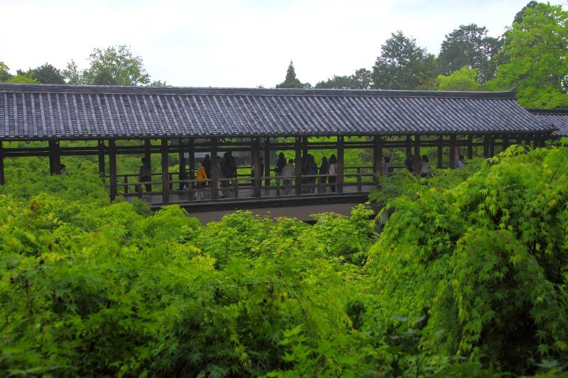 東福寺_003.jpg