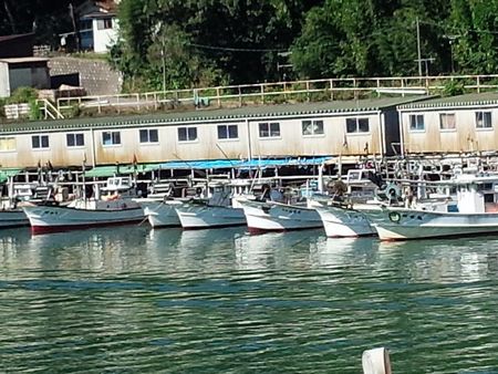 IMG_20141025_112302-p.jpg