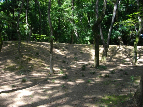 小山城二の丸土塁 (500x375).jpg