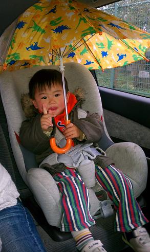 車内で傘