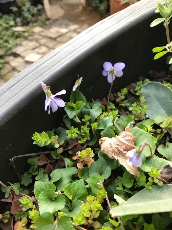 rblog-20190324174434-03.jpg