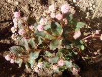 12.11 porigonamu.jpg