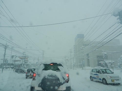 DSCN5693.jpg