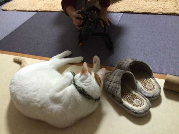 rblog-20141202062506-01.jpg