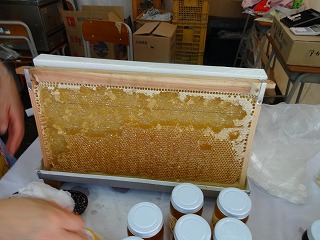 2012-08-25 11.44.53.jpg