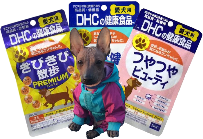 vitamins to give dogs