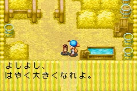 牧場物語ミネラルタウンのなかまたち 復活 Masaのブログ 楽天ブログ