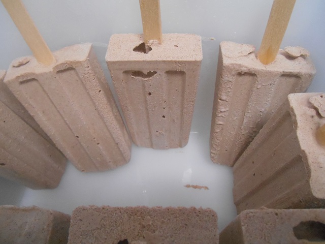 DSCN1104.JPG
