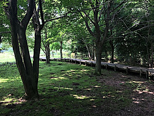 rblog-20180622201108-03.jpg