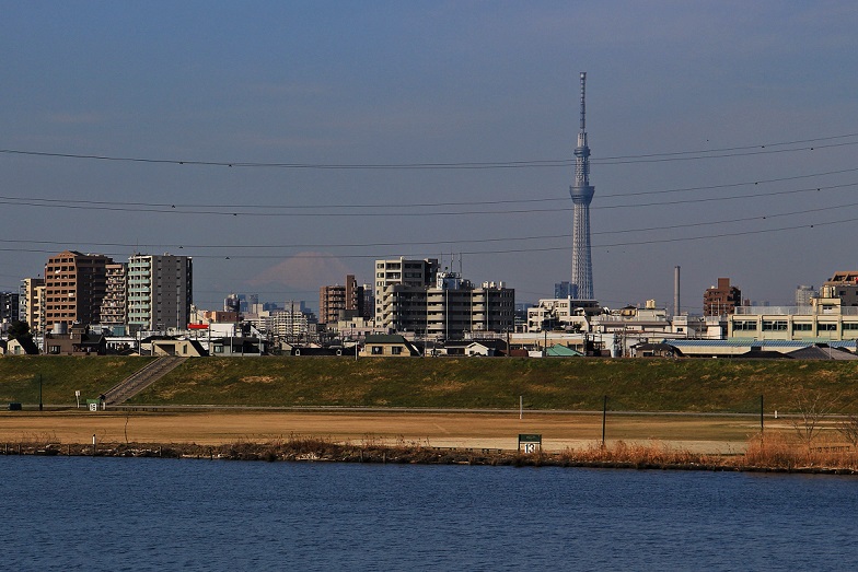 4.スカイツリーと富士.JPG