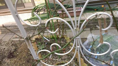 rblog-20140318161028-03.jpg