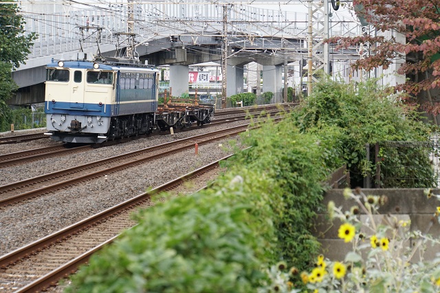 「上野東京ライン  常磐線 品川直通列車 大増発」ヘッドマーク ～ EF81 95牽引 品川チキ工臨3